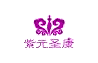紫元圣康品牌包裝LOGO設(shè)計